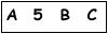 salt-226A07A2