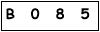 salt-78533C19