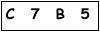 salt-C785E99A