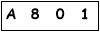 salt-4BEED221