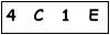 salt-333EA1C2