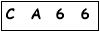 salt-55A4224B